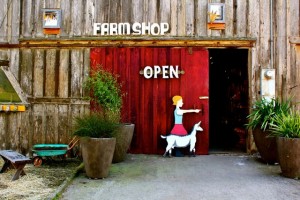 Farm Shop