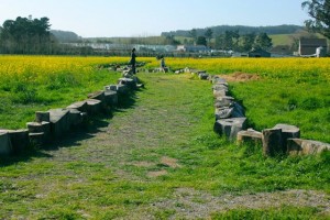 Mustard Path