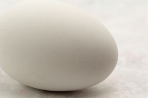 Goose Egg Entry Photo
