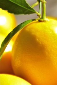 Meyer Lemon