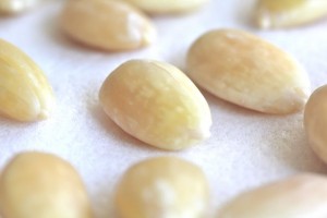 Blanched Almonds